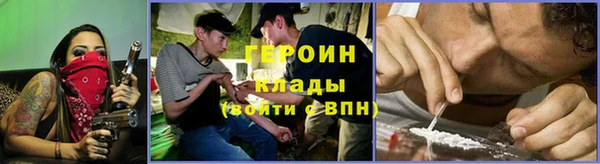 шишки Верея