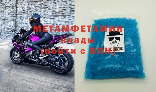шишки Верея