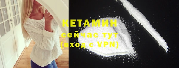шишки Верея