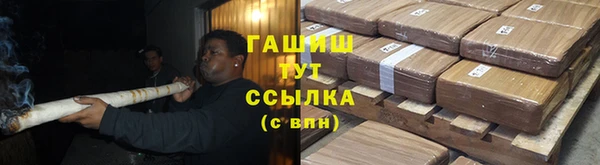 шишки Верея