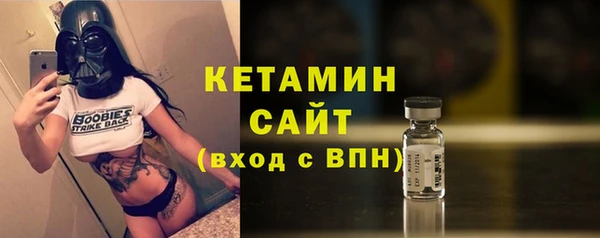 шишки Верея