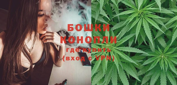 шишки Верея