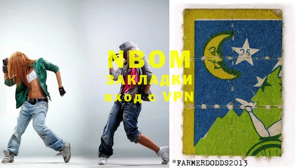 шишки Верея