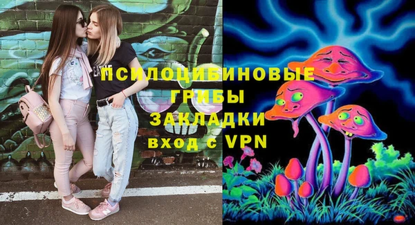 шишки Верея