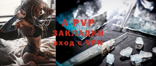 шишки Верея