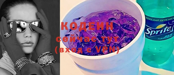 шишки Верея