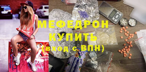 шишки Верея
