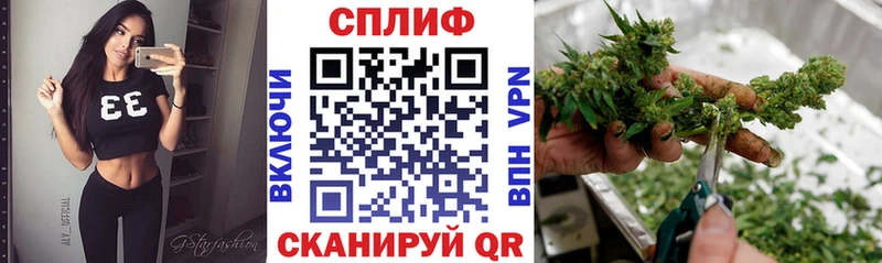 Купить где  Юрьев-Польский  Конопля AK-47 